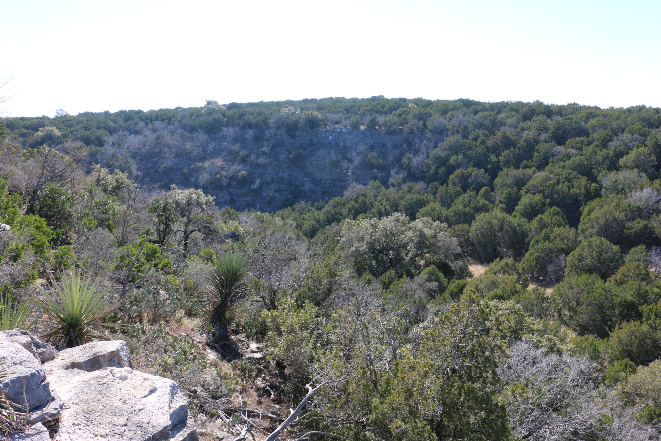 Colorado Bend State Park Visit Recap - The Texas Trailhead