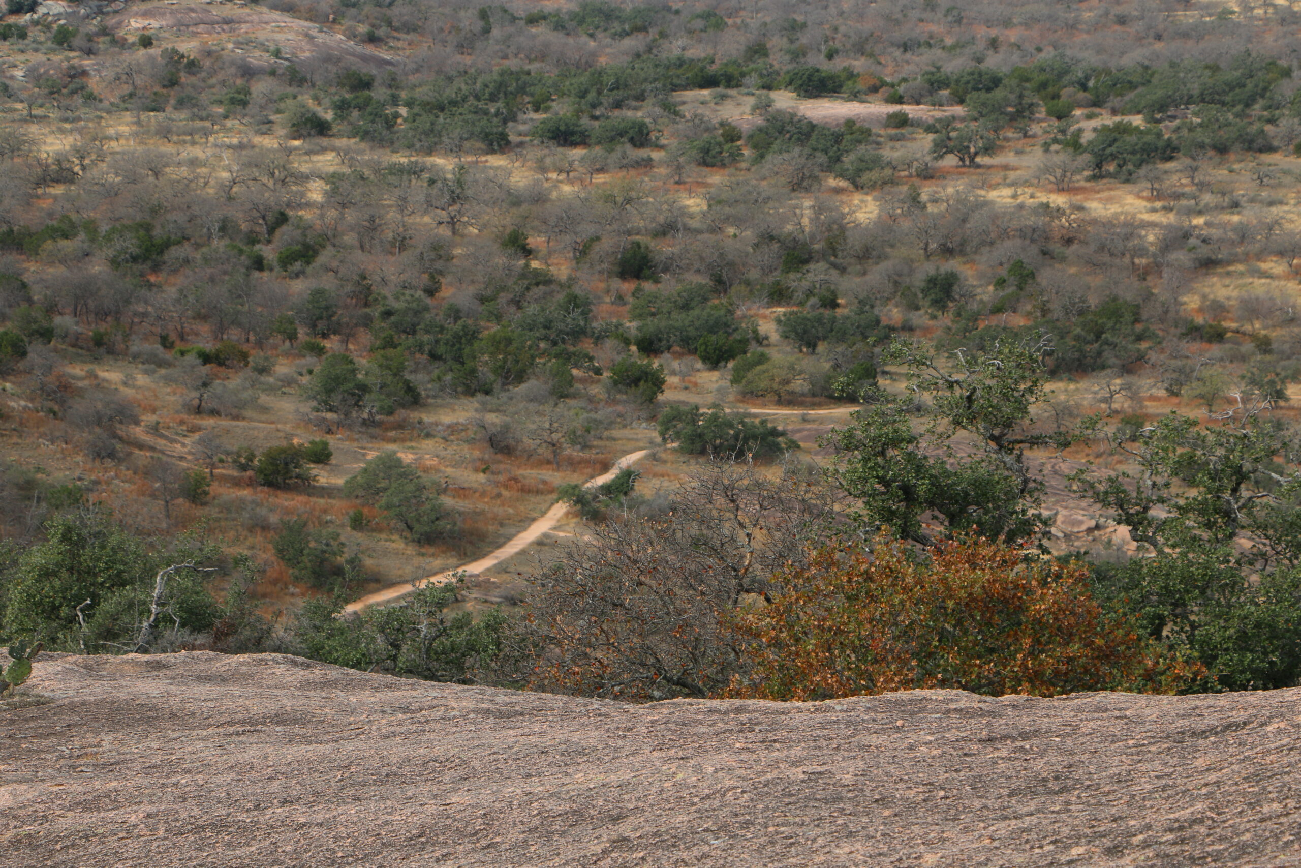 1st Day Hike: Enchanted Rock State Natural Area - Best Texas hiking ...